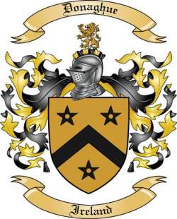 Donaghue Family Crest from Ireland2