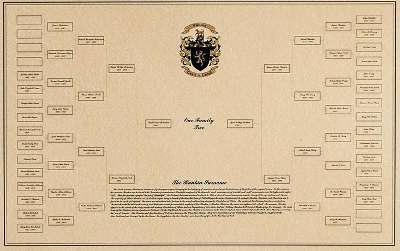7 GENERATION printable genealogy chart~ family tree artwork